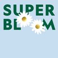 Cover Art for 9781760763503, Super Bloom by Jac Semmler