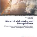 Cover Art for 9783659113246, Hierarchical Clustering and Bitmap Indexes by S. M. Khalid Jamal, Raheel Khan