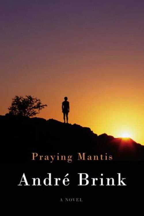 Cover Art for 9780436206054, Praying Mantis by Andre Brink