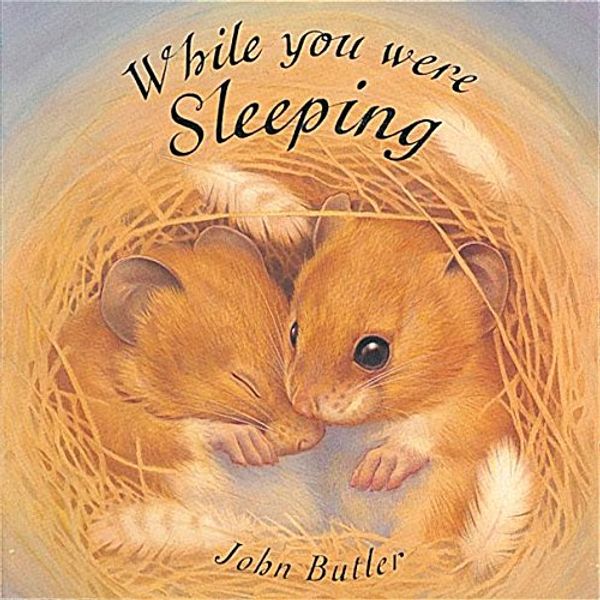 Cover Art for 9781841219288, While You Were Sleeping by John Butler