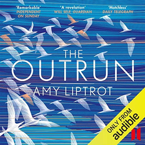 Cover Art for B01IU4S9MI, The Outrun by Amy Liptrot