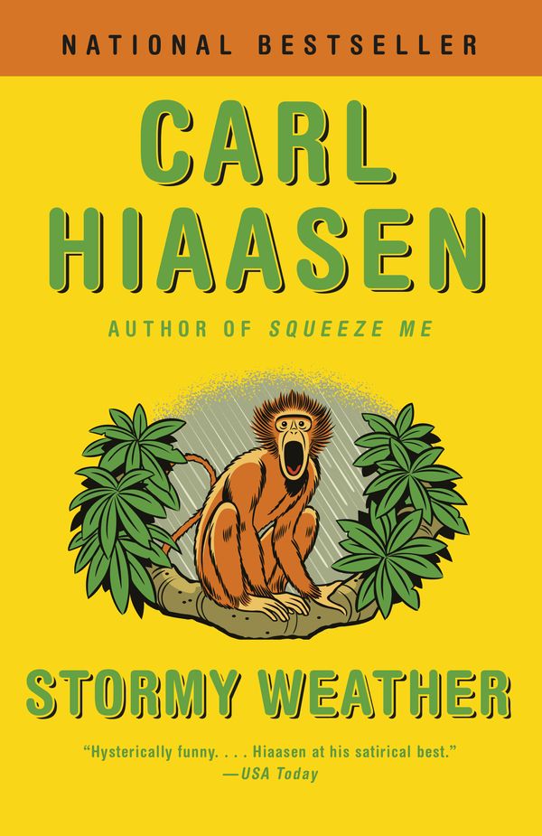 Cover Art for 9780525431787, Stormy Weather by Carl Hiaasen