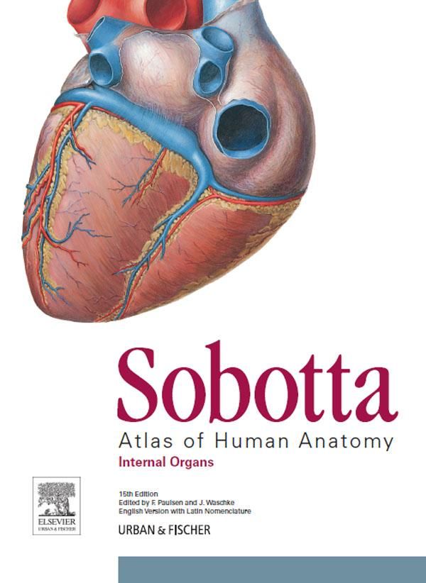 Cover Art for 9783437296871, Sobotta Atlas of Human Anatomy, Vol. 2, 15th ed, English/Latin by Friedrich Paulsen, Jens Waschke