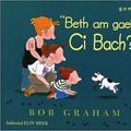 Cover Art for 9781843232414, Beth Am Gael Ci Bach? by Bob Graham