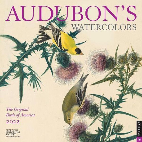Cover Art for 9780789340238, Audubon's Watercolors 2022 Wall Calendar: The Original Birds of America by New-York Historical Society The