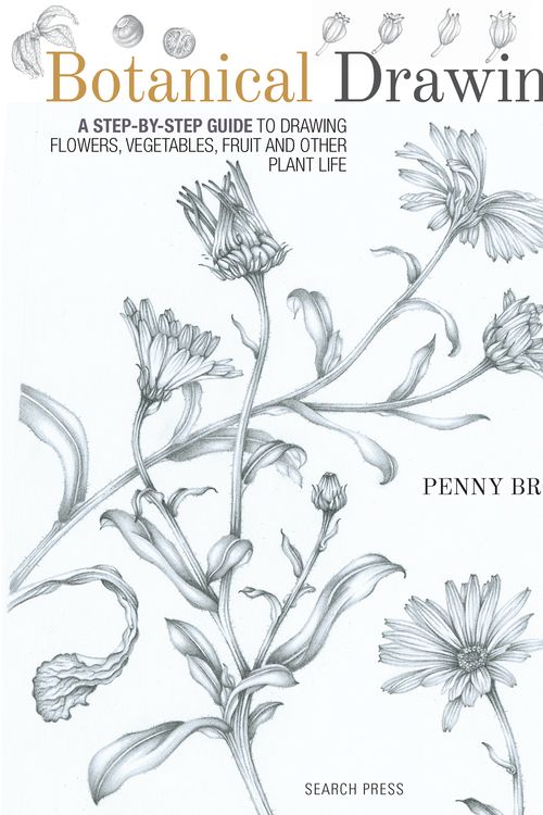 Cover Art for 9781782212607, Botanical DrawingA Step-by-Step Guide to Drawing Flowers, Vegeta... by Penny Brown