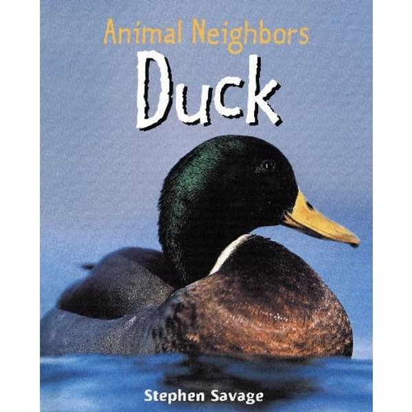 Cover Art for 9781435849884, Duck by Stephen Savage