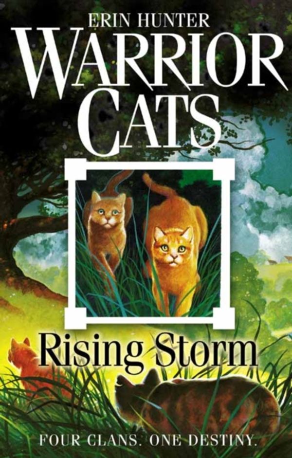 Cover Art for 9780007140053, Rising Storm by Erin Hunter