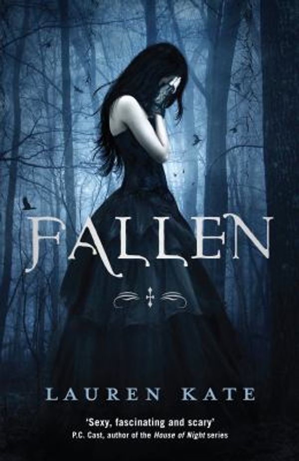 Cover Art for 0000552561738, Fallen: Book 1 (The Fallen Series) by Lauren Kate