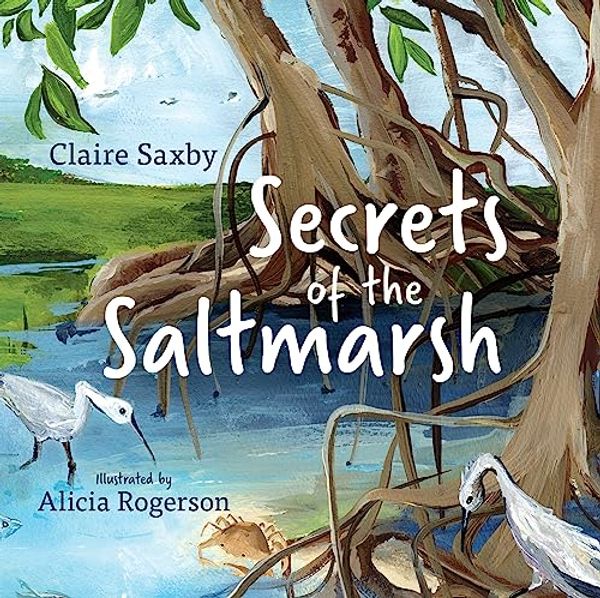 Cover Art for 9781486317141, Secrets of the Saltmarsh by Claire Saxby