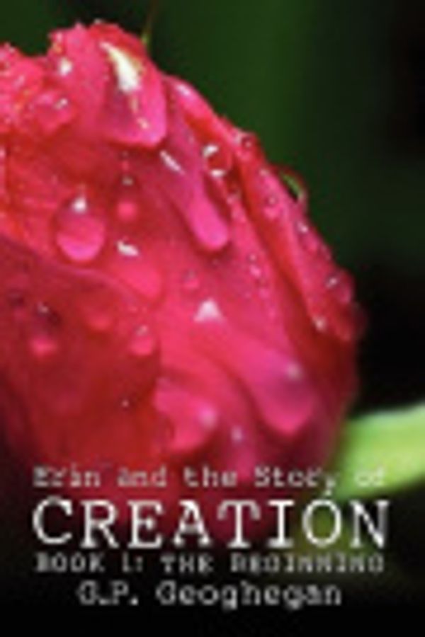 Cover Art for 9781413791037, Erin and the Story of Creation: Book 1: The Beginning by G.P. Geoghegan