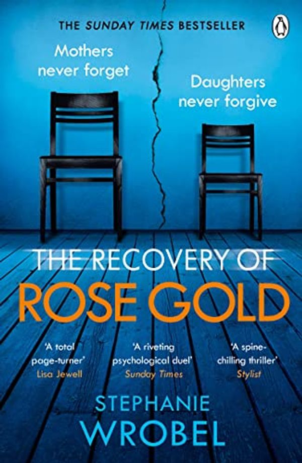 Cover Art for B07SRGDNF4, The Recovery of Rose Gold by Stephanie Wrobel