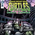 Cover Art for B07Y5NBHMN, Teenage Mutant Ninja Turtles: Urban Legends #20 by Gary Carlson