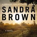 Cover Art for 9780446516310, The Witness by Sandra Brown