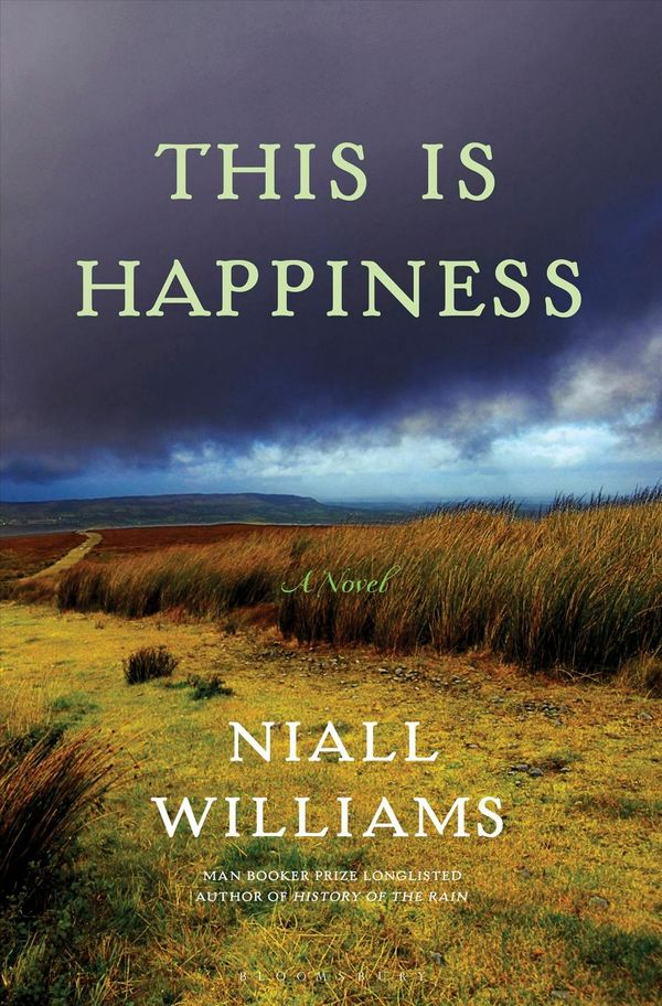 Cover Art for 9781635574203, This Is Happiness by Niall Williams