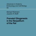 Cover Art for 9783540138495, Prenatal Gliogenesis in the Neopallium of the Rat by Michael Rickmann,Joachim R. Wolff