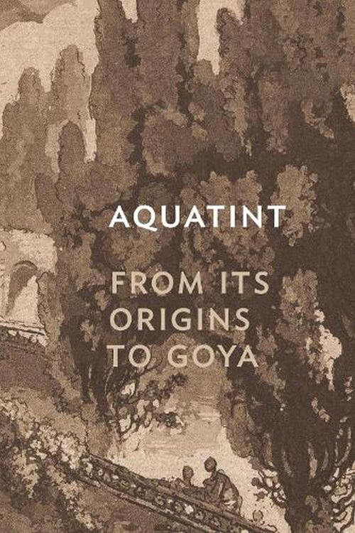 Cover Art for 9780691229799, Aquatint: From Its Origins to Goya by Rena M. Hoisington