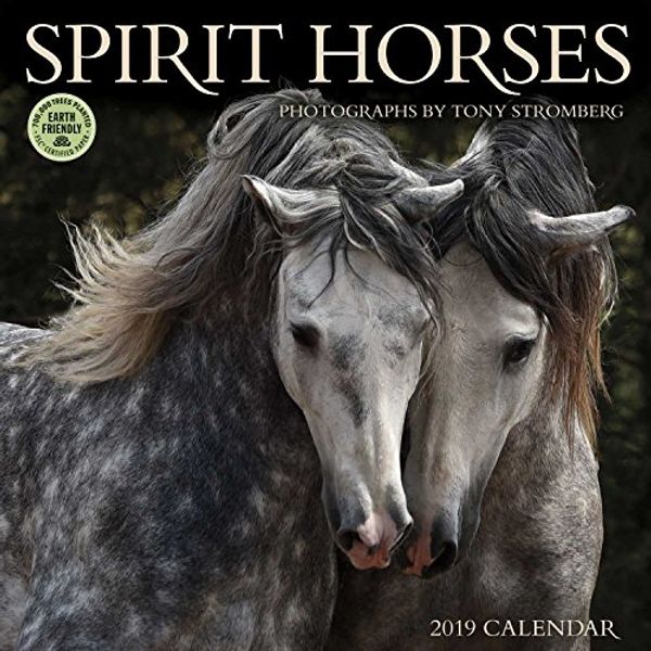 Cover Art for 9781631364310, Spirit Horses 2019 Wall Calendar by Tony Stromberg