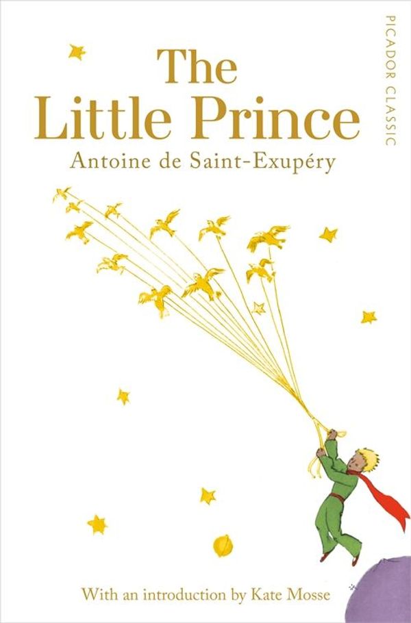 Cover Art for 9781509811311, Little Prince by Ros Schwartz