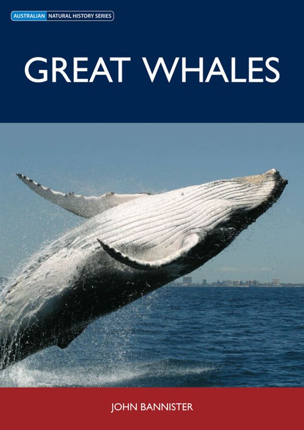 Cover Art for 9780643093737, Great Whales by John Bannister