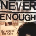 Cover Art for 9781844498277, Never Enough by Jeff Apter
