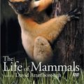 Cover Art for 9780790779997, The Life of Mammals by 