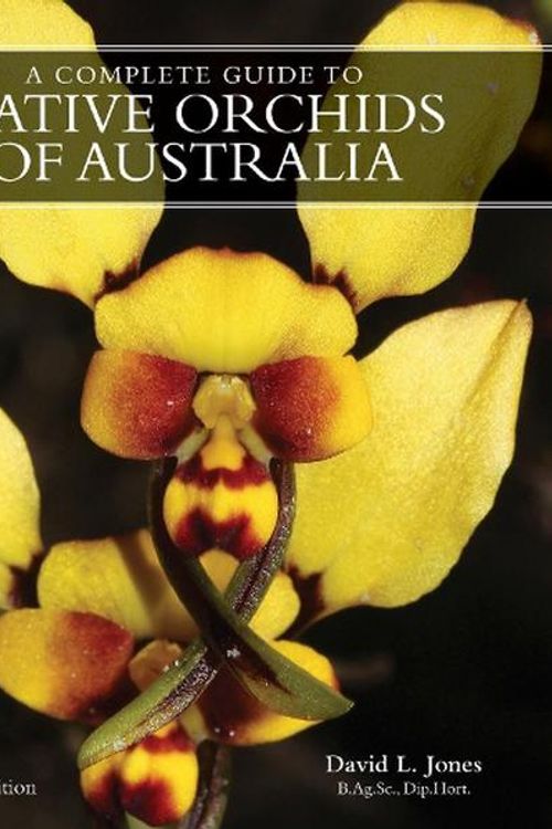 Cover Art for 9781760796273, A COMPLETE GUIDE TO NATIVE ORCHIDS OF AUSTRALIA by David L. Jones