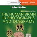Cover Art for 9781455709618, The Human Brain in Photographs and Diagrams by John Nolte