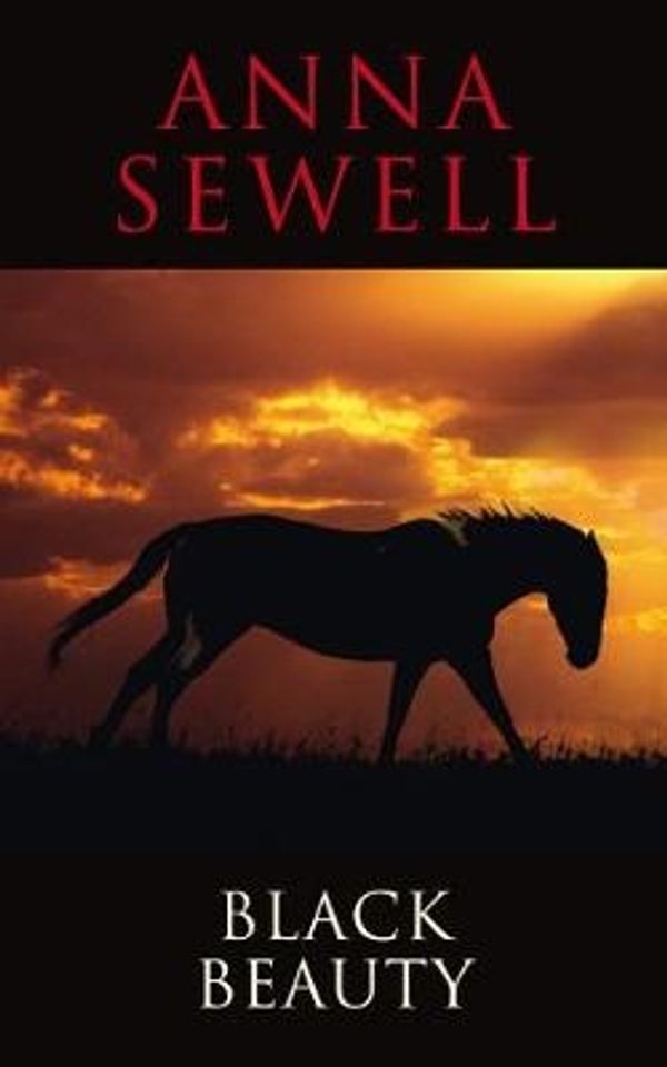 Cover Art for 9781908533203, Black Beauty (Transatlantic Classics Collect) by Anna Sewell