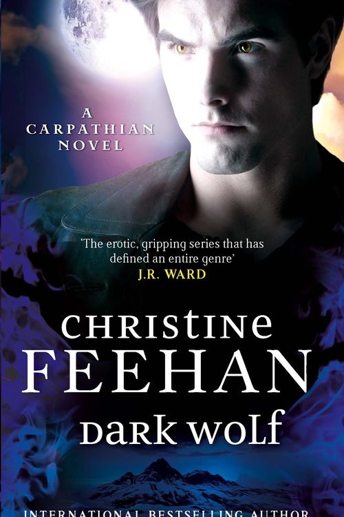 Cover Art for 9780349401928, Dark Wolf by Christine Feehan