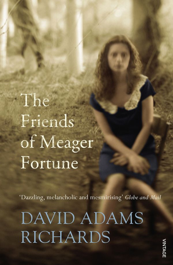 Cover Art for 9781446466278, The Friends of Meager Fortune by David Adams Richards