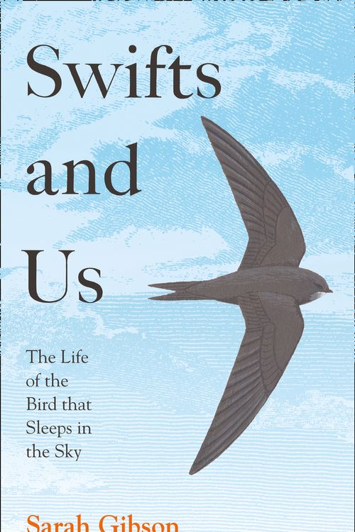 Cover Art for 9780008350635, Swifts And Us by Sarah Gibson