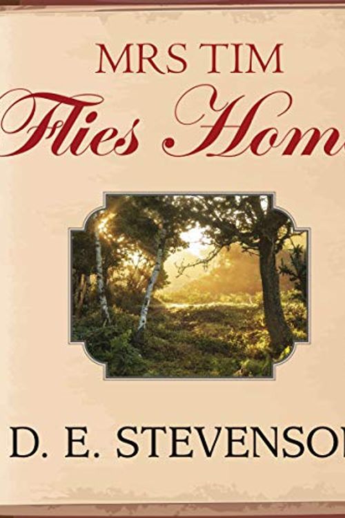 Cover Art for B07W4S1JXP, Mrs Tim Flies Home by D. E. Stevenson