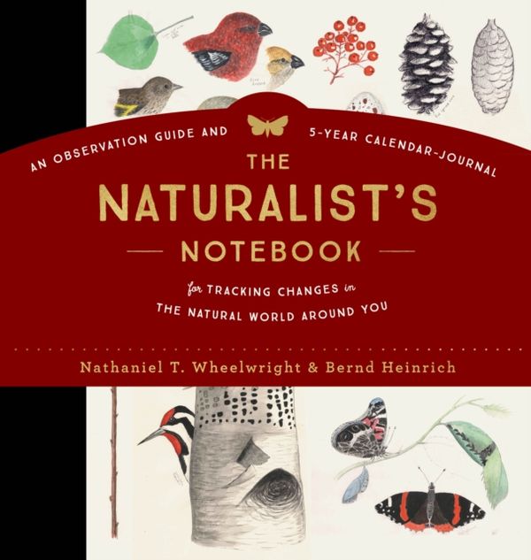 Cover Art for 9781612128894, The Naturalist's Notebook: An Observation Guide and 5-Year Calendar-Journal for Tracking Changes in the Natural World Around You by Wheelwright/ Heinrich