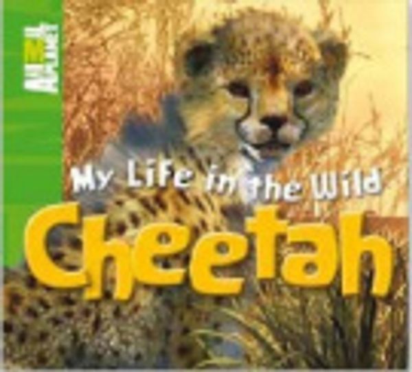 Cover Art for 9781742522302, Animal Planet My Life In The Wild Cheeta by Owen Publishing Weldon