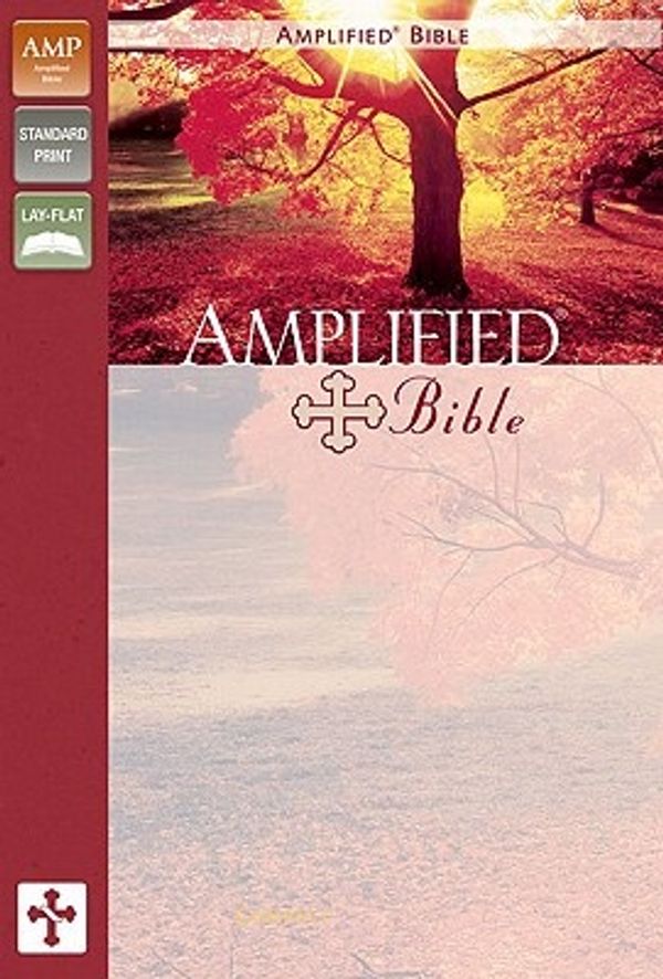 Cover Art for 9780310951698, Amplified Bible by Zondervan