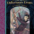 Cover Art for B00IGYR6EA, The Wide Window (A Series of Unfortunate Events) by Snicket, Lemony (2012) Paperback by Lemony Snicket