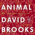 Cover Art for 9781400067602, The Social Animal by David Brooks