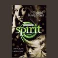 Cover Art for 9781459667730, Spirit by Brigid Kemmerer