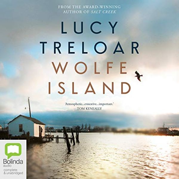 Cover Art for B07SQ3H8Y9, Wolfe Island by Lucy Treloar