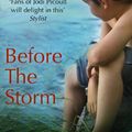 Cover Art for 9780778303381, Before the Storm by Diane Chamberlain