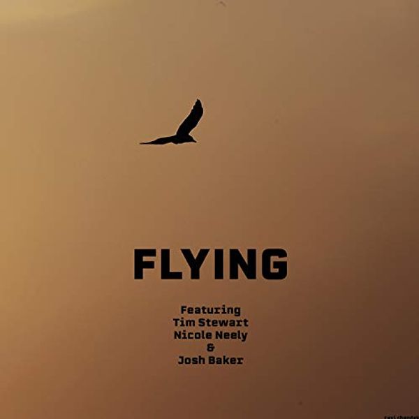Cover Art for B0819C1KCY, Flying (feat. Tim Stewart, Nicole Neely & Josh Baker) by 