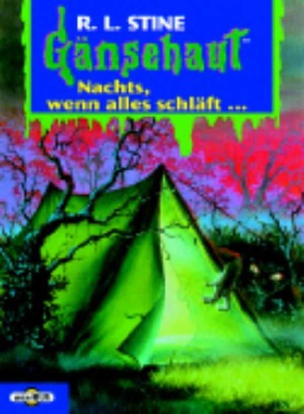 Cover Art for 9783570240038, Nachts, wenn alles schläft by Robert L. Stine