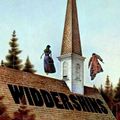 Cover Art for 9780765312860, Widdershins by De Lint, Charles