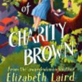 Cover Art for 9781529075663, The Misunderstandings of Charity Brown by Elizabeth Laird