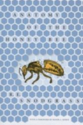 Cover Art for 9780801493027, Anatomy of the Honeybee by R.E. Snodgrass
