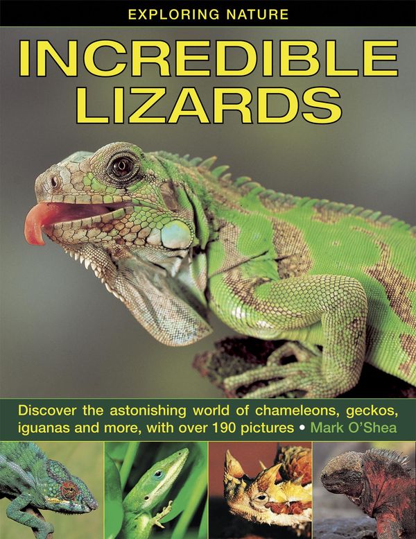 Cover Art for 9781781130575, Incredible Lizards by Mark O'Shea