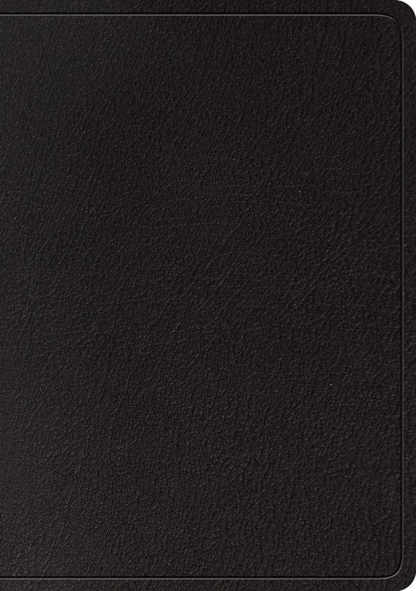 Cover Art for 9781433561955, ESV Large Print Wide Margin Bible (Black) by Crossway