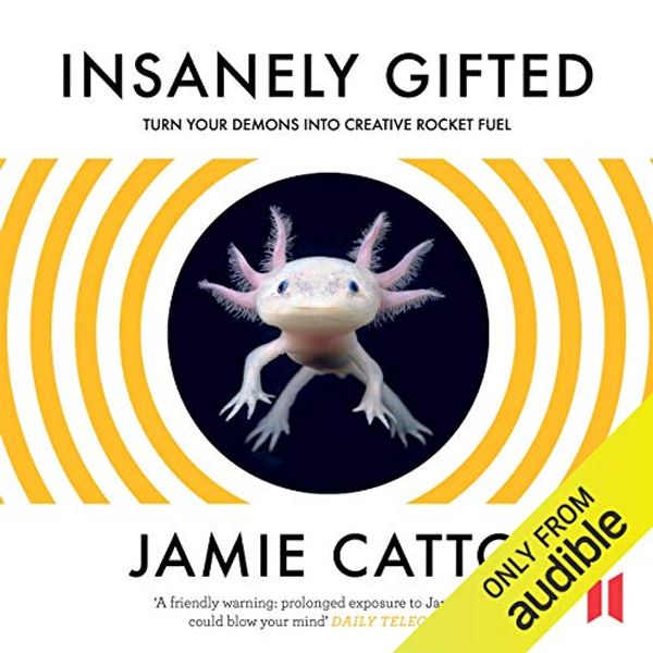 Cover Art for B01ETIQZ2K, Insanely Gifted: Turn Your Demons into Creative Rocket Fuel by Jamie Catto
