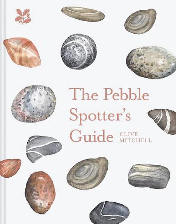 Cover Art for 9781911657309, The Pebble Spotter's Guide by Clive Mitchell